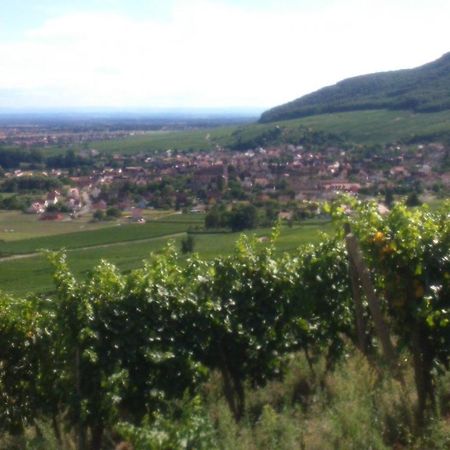 Gites & Chambes D'Hotes Fugler Orschwihr Exterior photo