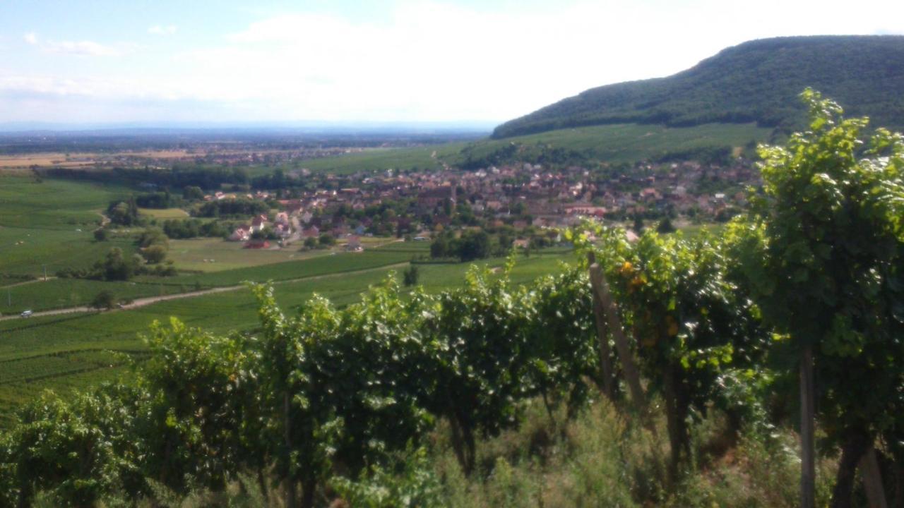 Gites & Chambes D'Hotes Fugler Orschwihr Exterior photo